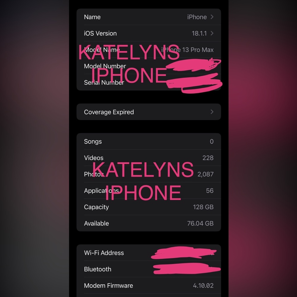 2 iPhone 13 Pro Maxs WITH TIKTOK INSTALLED!